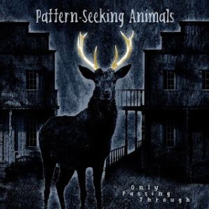 Pattern-Seeking Animals - Only Passing Through